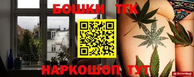 гидра Берёзовский