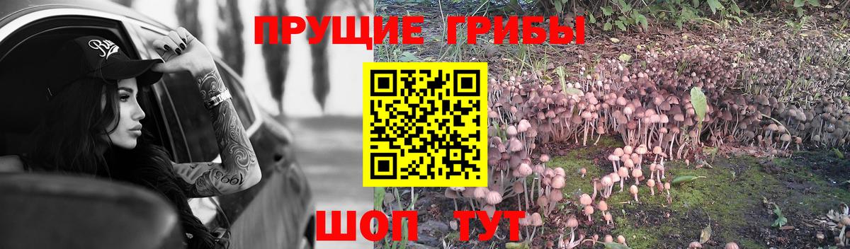 Новомосковск  Псилоцибиновые грибы Magic Shrooms  сколько стоит  Вход с VPN 