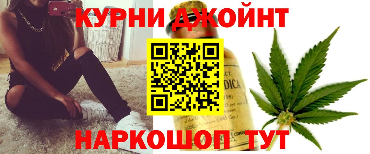 Конопля план  Бошки Шишки сатива  Марихуана Bruce Banner  Новомосковск 